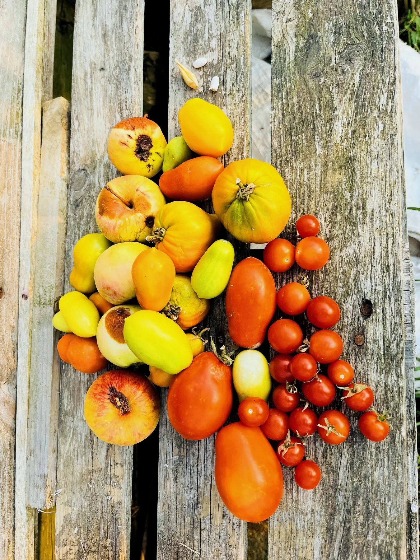 Fruit and tomatoes from the garden on a wooden table
