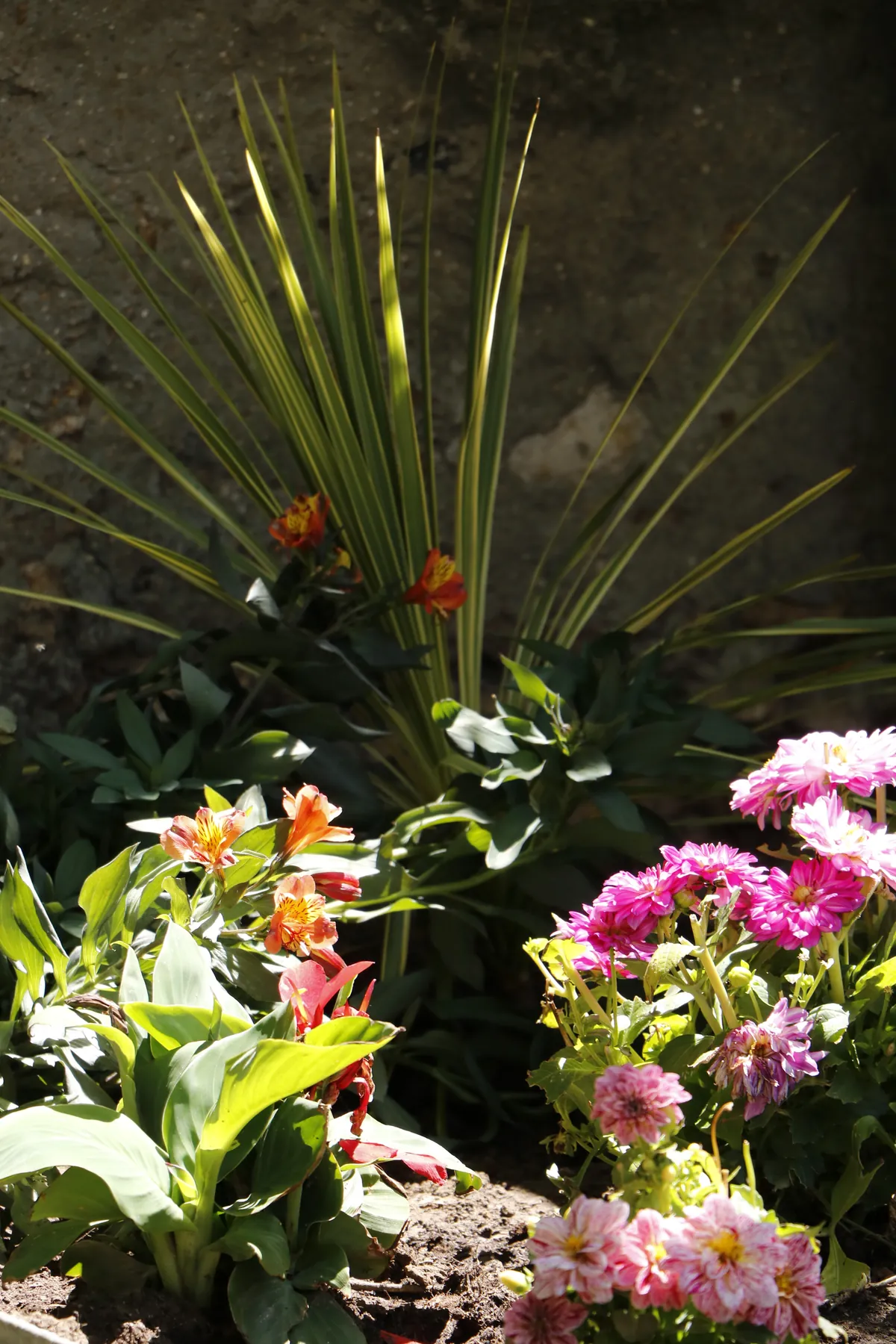Flower bed at the foot of the old wall